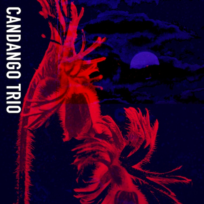 vivid red flora against a deep blue night sky with a glowing moon